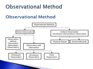  「Observation: 考察のための方法論」 – 科学の眼差しを研ぎ澄ます、知的好奇心を刺激する旅