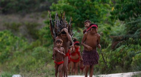  「Yanomami: Struggle for Survival」：アマゾンの奥深くに生きる、ヤノマミ族の魂を揺さぶる物語！