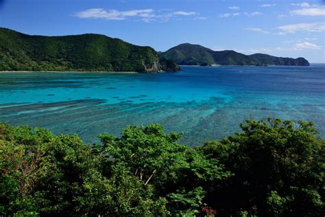 東京から奄美大島：都市の喧騒と島の静寂の間で