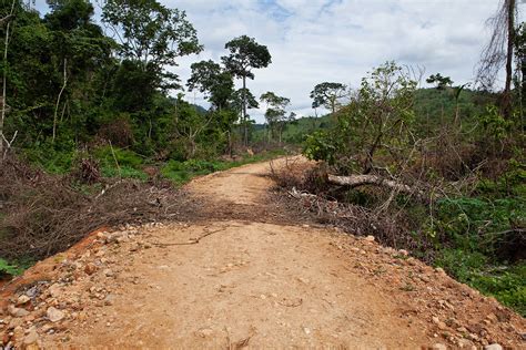  Xingu: A Visual Journey Through the Amazon's Untamed Heart!