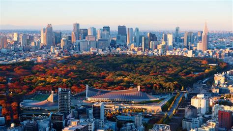 代々木公園 カフェ: 都会のオアシスで味わう異世界体験